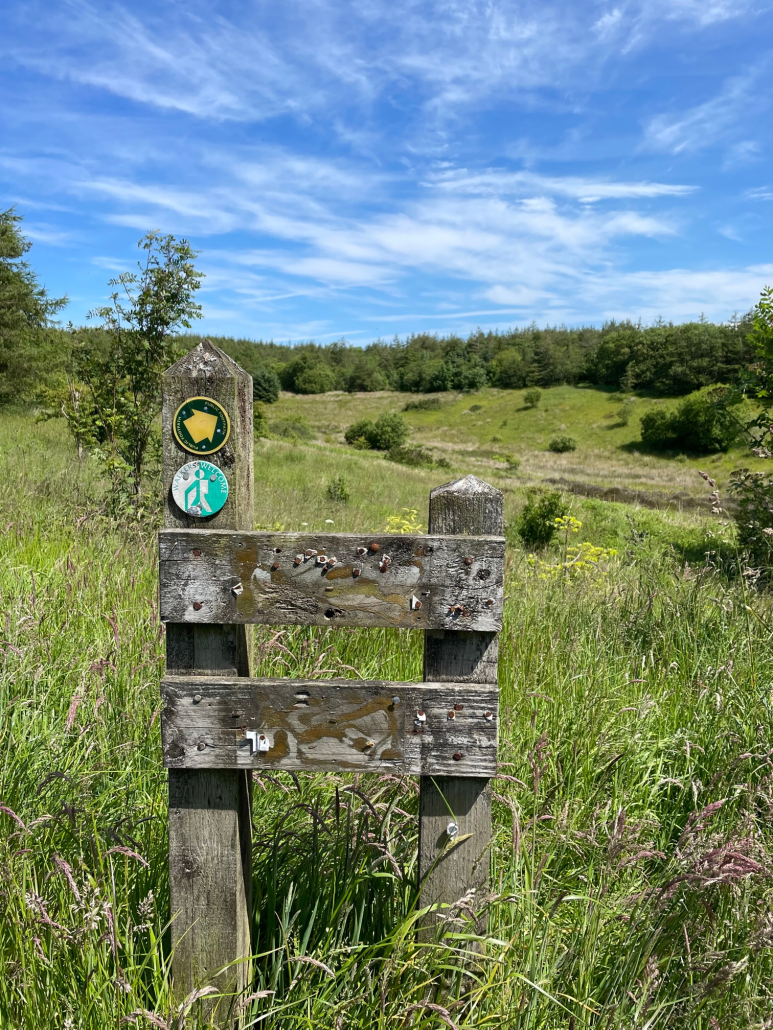 Image of site, Walkmill in Cumbria. 